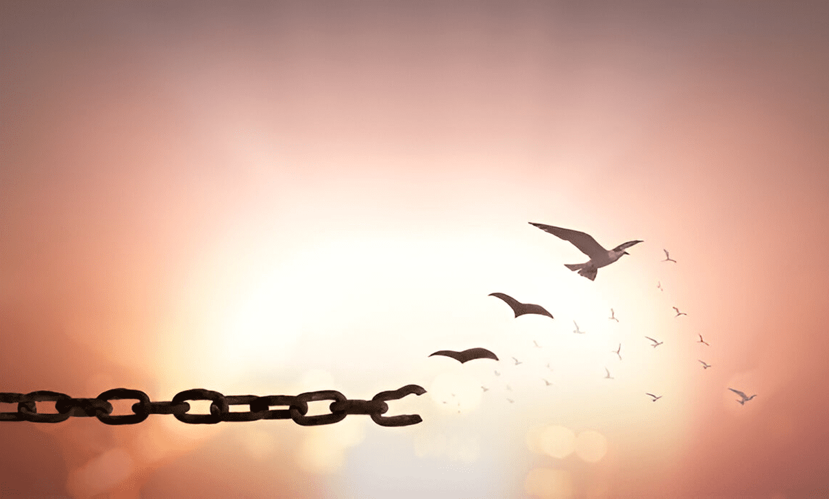 Broken chain with birds flying free.